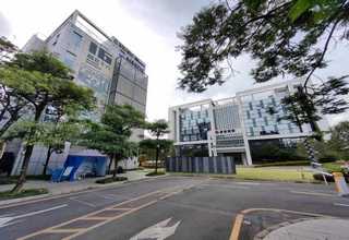 云南本地黄花菜现价