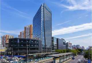 辽宁单组份背胶乳液价格