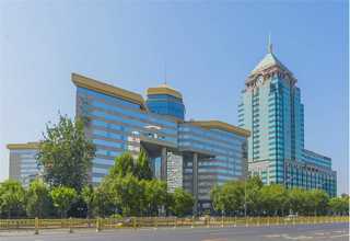 北京帅气文化衫哪家便宜